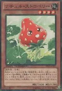 Naturia Strawberry