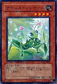 Naturia Mantis