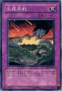 生存本能