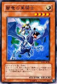 Paladin of the Cursed Dragon