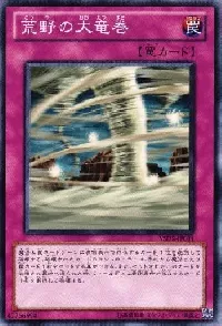 Wild Tornado