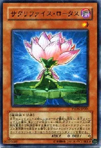 Samsara Lotus