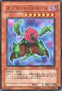 Regenerating Rose