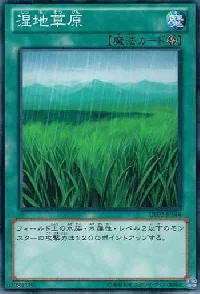 Wetlands