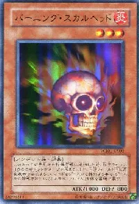 Burning Skull Head