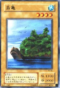 Island Turtle