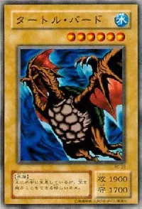 タートル・バード