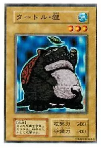 ✪ Turtle Tanuki