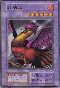 紅陽鳥