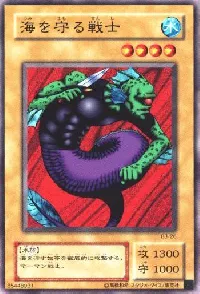 海を守る戦士