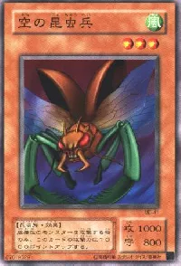 Insect Soldiers of the Sky