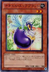 Naturia Eggplant