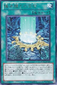 Contact with the Aquamirror