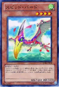 Speed Bird