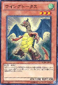 Wingtortoise