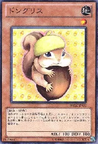 ドングリス