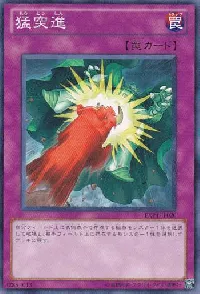 Super Rush Recklessly