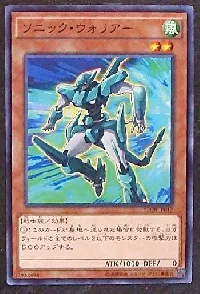 Sonic Warrior