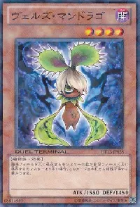 Evilswarm Mandragora