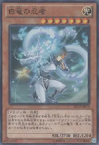 White Dragon Ninja