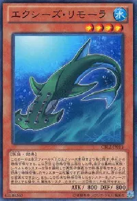Xyz Remora