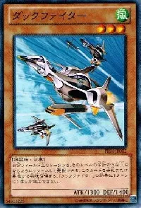 Duck Fighter