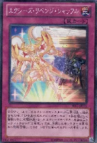 Xyz Revenge Shuffle