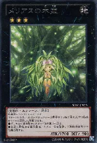 Meliae of the Trees