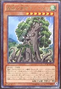 Sylvan Sagequoia