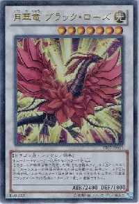 Black Rose Moonlight Dragon