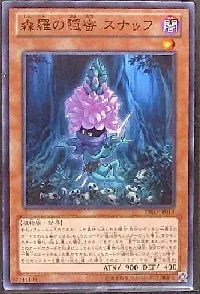 Sylvan Snapdrassinagon