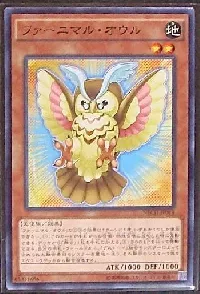 Fluffal Owl