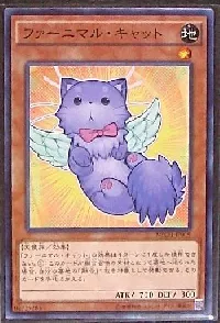 Fluffal Cat