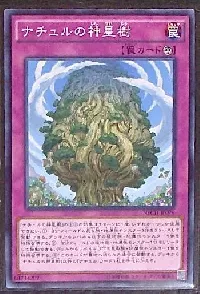 Naturia Sacred Tree