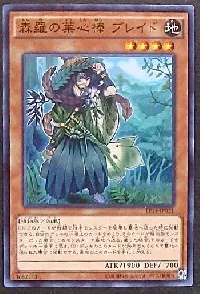 Sylvan Bladefender