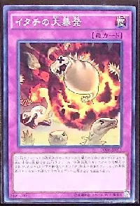 Ferret Flames