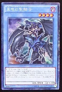 Paladin of Dark Dragon