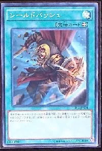 Bashing Shield