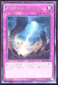 Typhoon