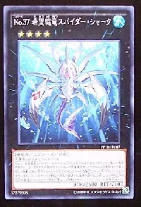 Number 37: Hope Woven Dragon Spider Shark