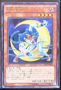 Lunalight Blue Cat