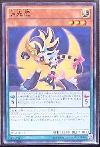 月光虎