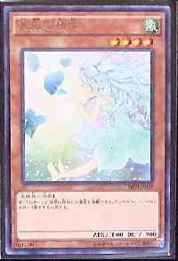 Spirit of the Fall Wind