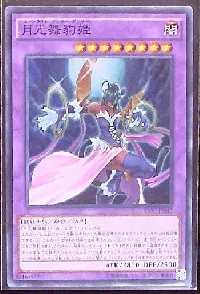 月光舞豹姫