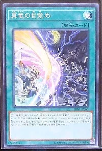 真竜の目覚め