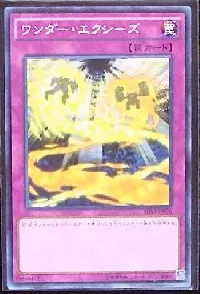 Wonder Xyz
