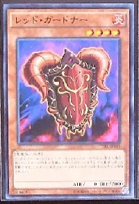 Red Gardna
