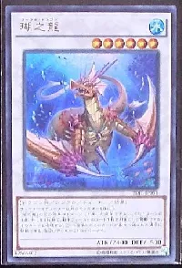 Coral Dragon