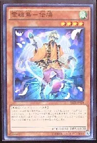 Shinobird Pigeon