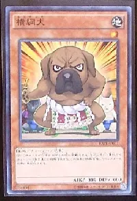 横綱犬